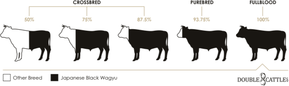 Experience the Difference